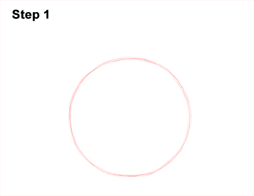 How to Draw a Tabby Kitty Cat Head Detail 1