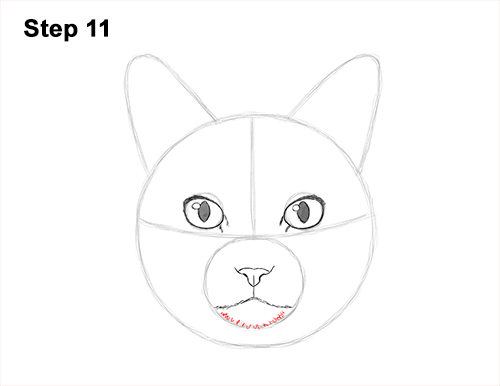 How to Draw a Tabby Kitty Cat Head Detail 11