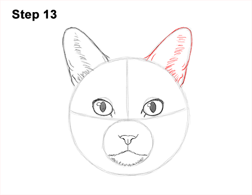 How to Draw a Tabby Kitty Cat Head Detail 13