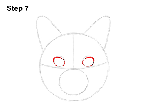 Draw a Tabby Cat Kiten Head 7 How to Draw a Tabby Kitty Cat Head Detail 7