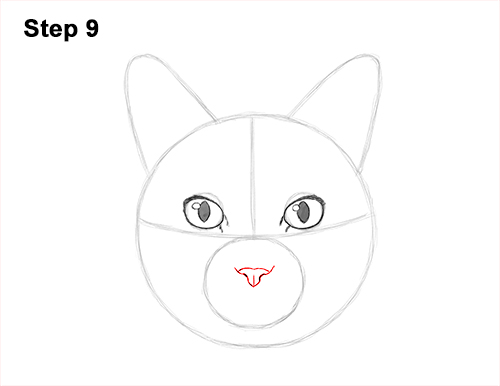 Draw a Tabby Cat Kiten Head 9 How to Draw a Tabby Kitty Cat Head Detail 9