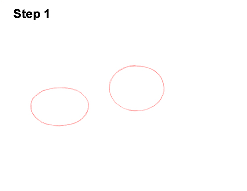 Draw a Channel Catfish 1 How to Draw a Channel Catfish Fish 1