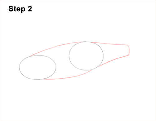 Draw a Channel Catfish 2 How to Draw a Channel Catfish Fish 2