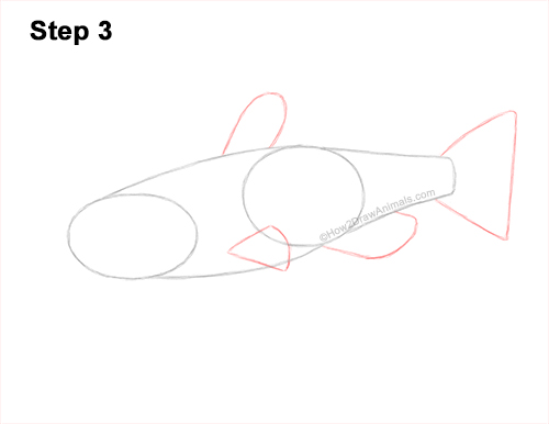 Draw a Channel Catfish 3 How to Draw a Channel Catfish Fish 3