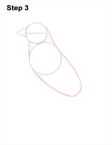 Draw a Cedar Waxwing Bird 3 How to Draw a Cedar Waxwing Bird 3