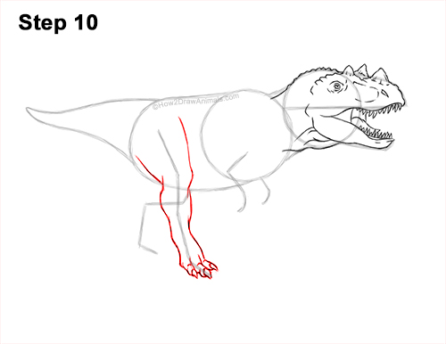 Draw a Ceratosaurus Dinosaur 10 How to Draw a Ceratosaurus Dinosaur Walking Side View 10