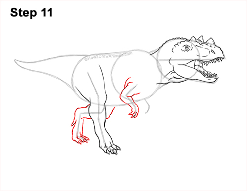 Draw a Ceratosaurus Dinosaur 11 How to Draw a Ceratosaurus Dinosaur Walking Side View 11