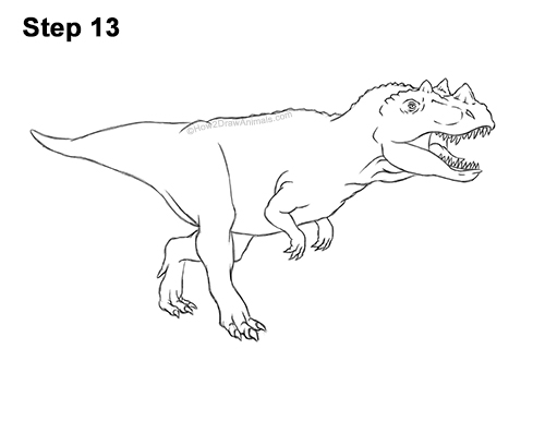 Draw a Ceratosaurus Dinosaur 13 How to Draw a Ceratosaurus Dinosaur Walking Side View 13