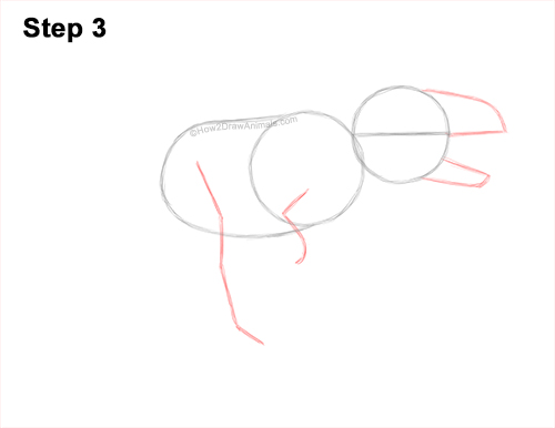 How to Draw a Ceratosaurus Dinosaur Walking Side View 3