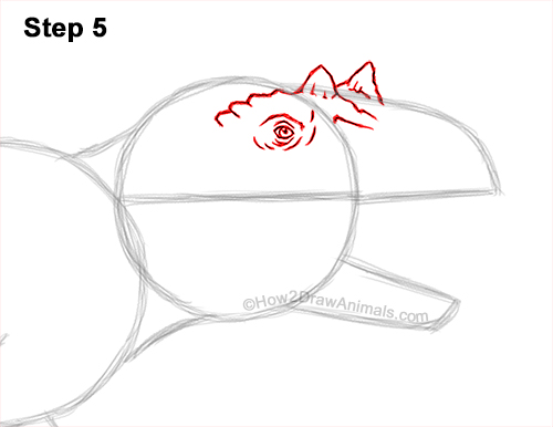 How to Draw a Ceratosaurus Dinosaur Walking Side View 5