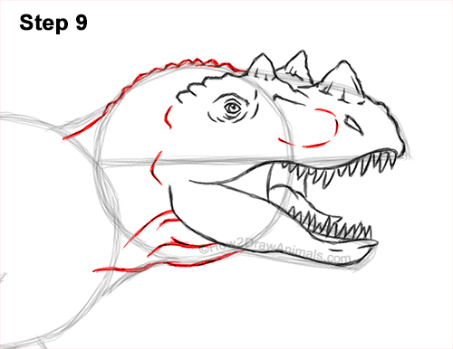 Draw a Ceratosaurus Dinosaur 9 How to Draw a Ceratosaurus Dinosaur Walking Side View 9