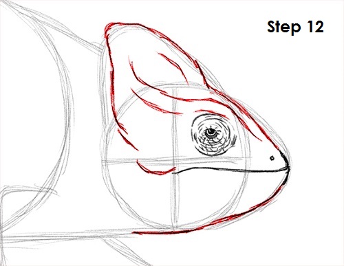 Chameleon Drawing 12 Draw Chameleon 12