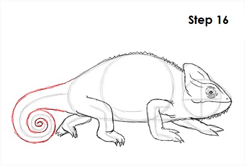 Draw Chameleon 16