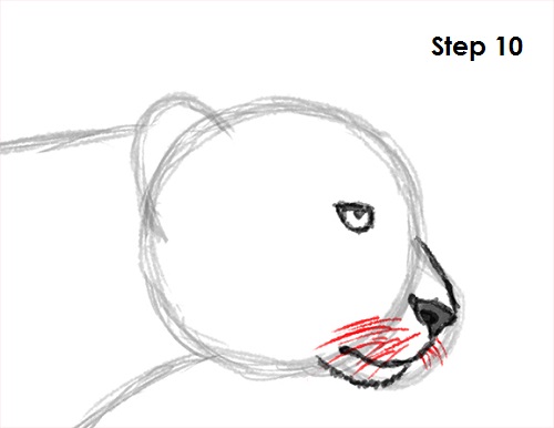 Draw Cheetah 10