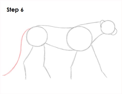 Draw Cheetah 6