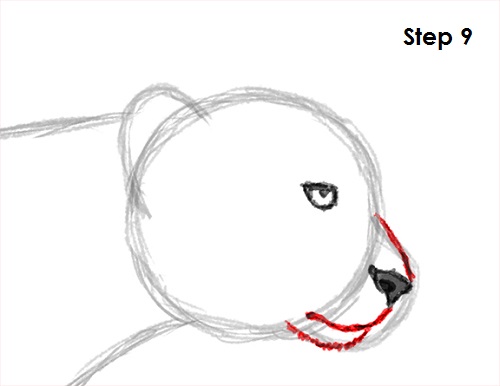 Draw Cheetah 9
