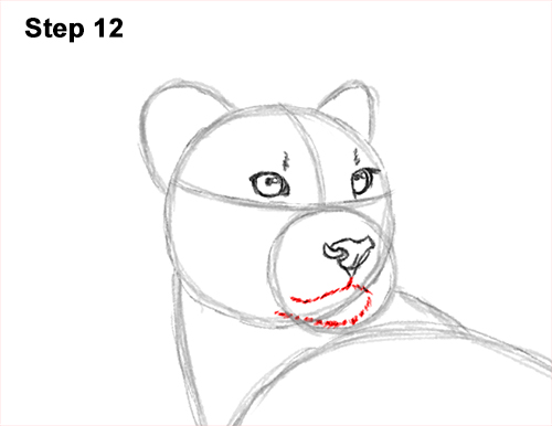 How to Draw a Cheetah Standing Side 12