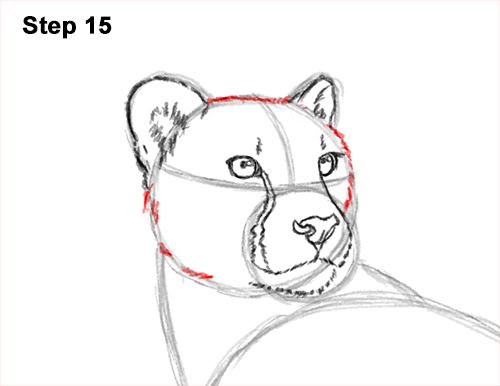 Draw Cheetah Side 15 How to Draw a Cheetah Standing Side 15
