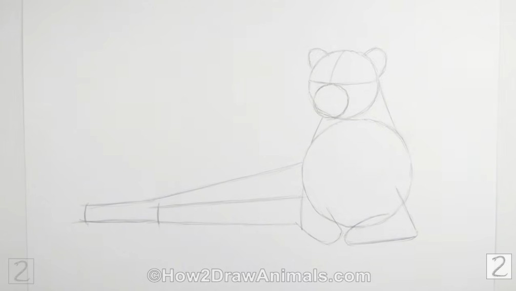 Guidelines Initial Pencil Sketch