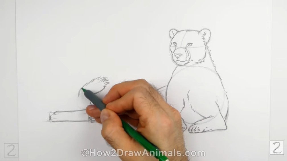 Finish the Body and Tail
