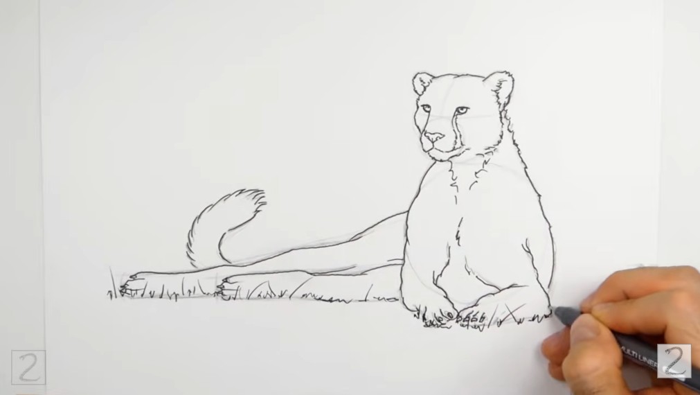 Ink the Drawing and Erase Guidelines