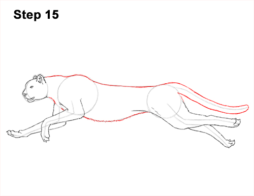 Draw Cheetah Running 15