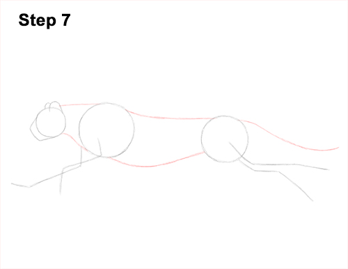 Cheetah Running Drawing 7 Draw Cheetah Running 7