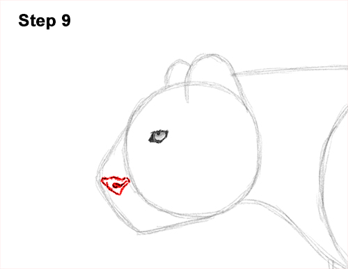 Cheetah Running Drawing 9 Draw Cheetah Running 9