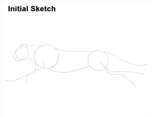 Cheetah Running Drawing Sketch Draw Cheetah Running Sketch