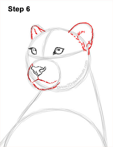 How to Draw a Cheetah Sitting Side View 6
