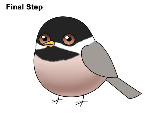 Cute Cartoon Chickadee Bird Drawing Draw Cute Cartoon Chibi Little Mini Chickadee Bird