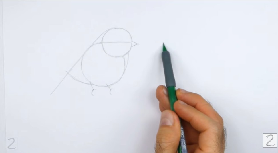 Guidelines Pencil Sketch First Bird How to Draw Chickadees Guidelines
