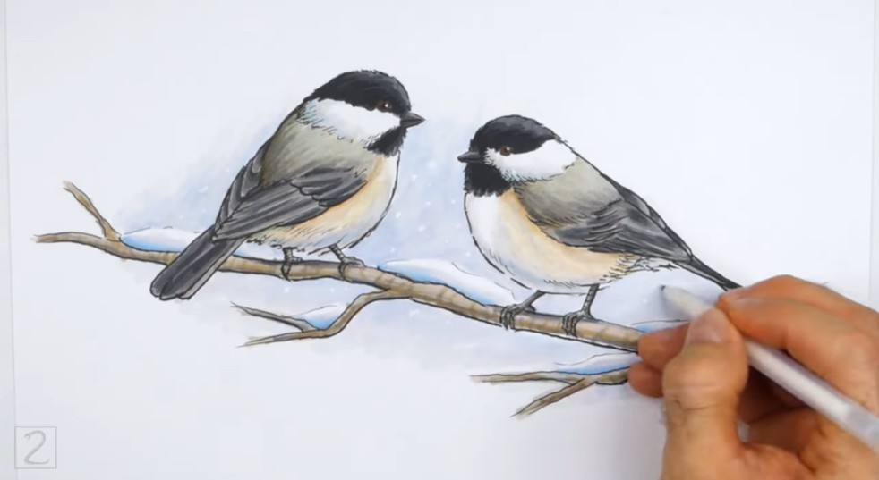 How to Draw Chickadees on a Tree Branch