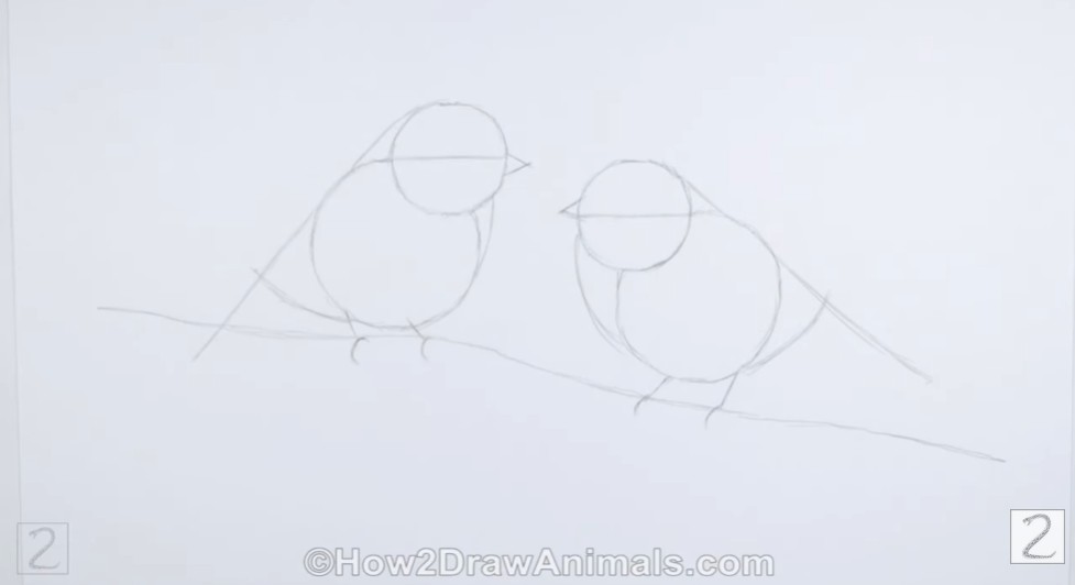 Guidelines Pencil Sketch for the Second Bird and Branch How to Draw Chickadees Mirror Guidelines and Branch Layout