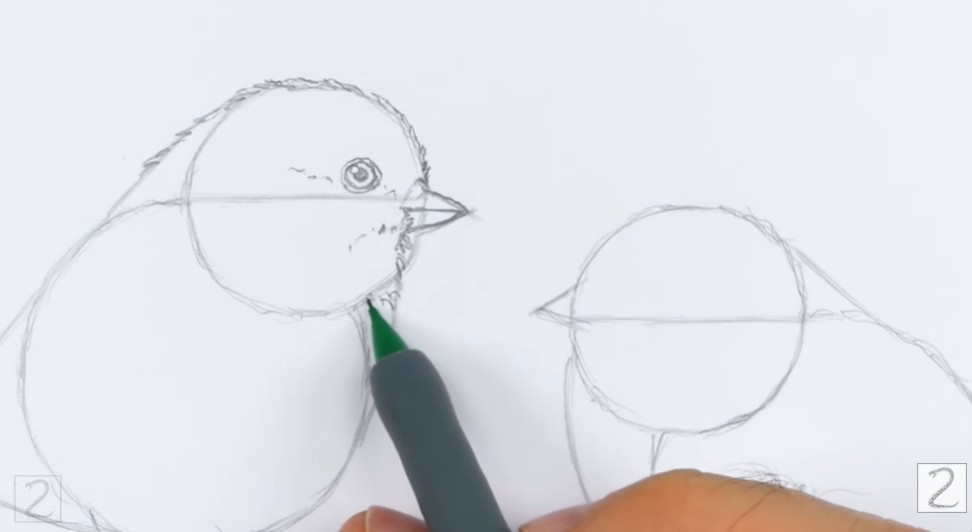 Facial details drawn in pencil for first bird How to Draw Chickadees First Bird Face Details