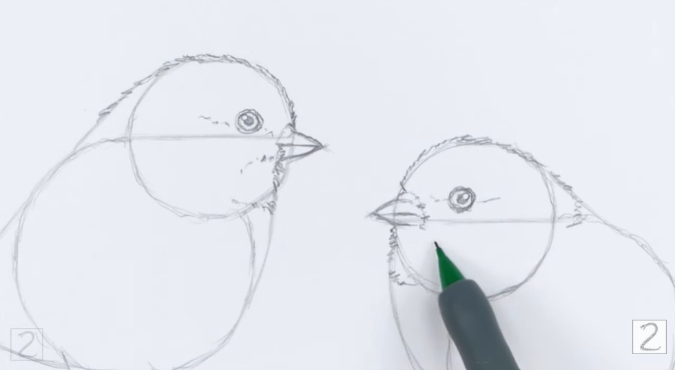 Facial details drawn in pencil for second bird How to Draw Chickadees Second Bird Face Details