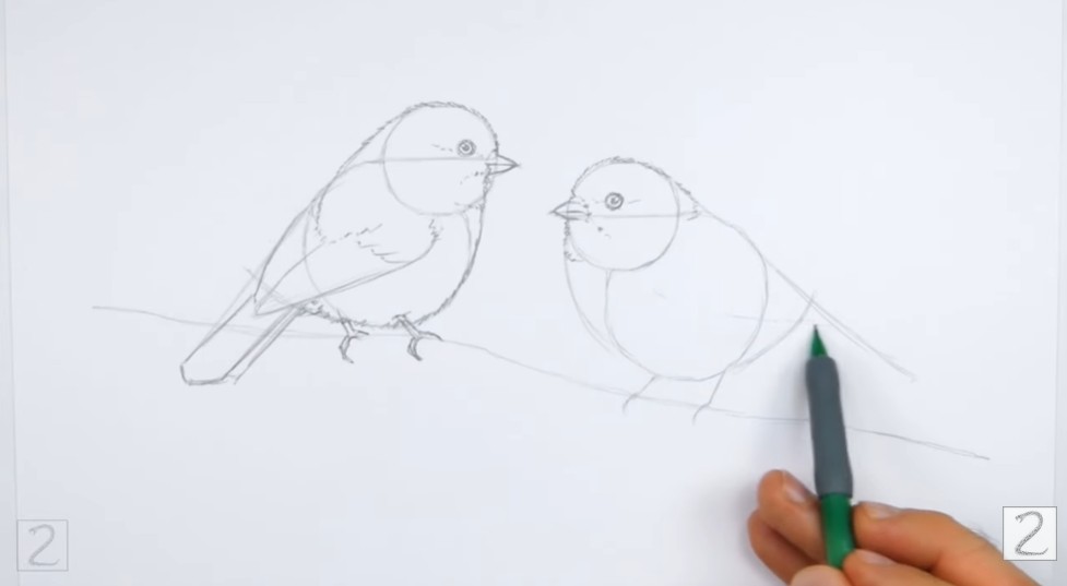 Draw the body of the first bird How to Draw Chickadees First Bird Wings and Body