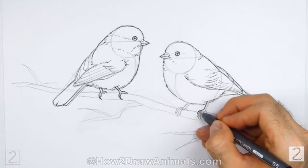 Inking How to Draw Chickadees Ink Application