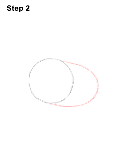 How to draw a Hen Chicken 2 How to Draw a Chicken Hen Bird 2
