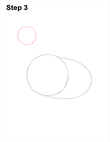 How to draw a Hen Chicken 3 How to Draw a Chicken Hen Bird 3