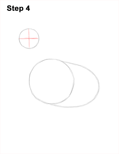 How to draw a Hen Chicken 4 How to Draw a Chicken Hen Bird 4