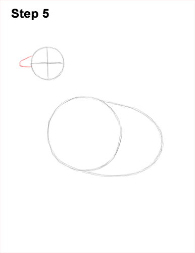 How to draw a Hen Chicken 5 How to Draw a Chicken Hen Bird 5