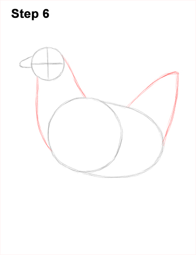 How to draw a Hen Chicken 6 How to Draw a Chicken Hen Bird 6