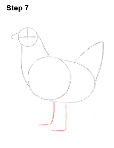 How to draw a Hen Chicken 7 How to Draw a Chicken Hen Bird 7