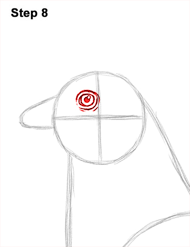 How to draw a Hen Chicken 8 How to Draw a Chicken Hen Bird 8