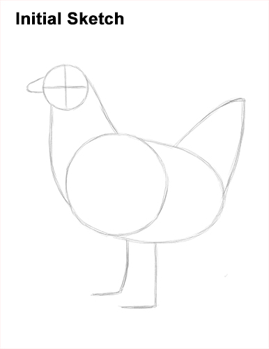 How to draw a Hen Chicken Guide Lines How to Draw a Chicken Hen Bird Initial Sketch