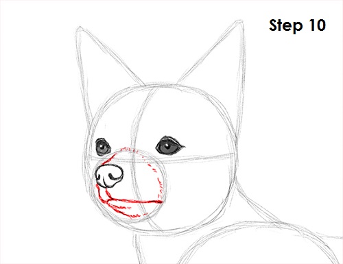 Draw Chihuahua 10