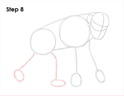 Draw Chimpanzee 8