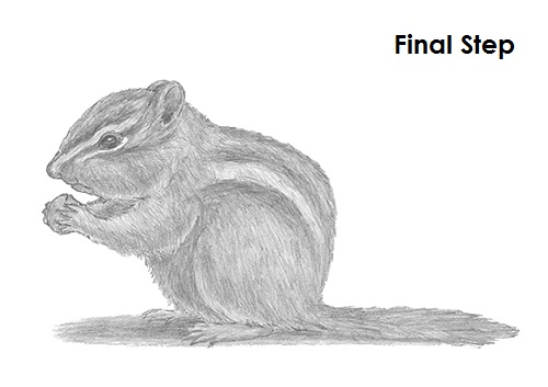 Draw Chipmunk Last