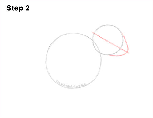 Draw an Eastern Chipmunk 2 How to Draw a Chipmunk 2